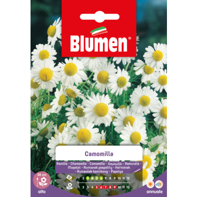BLUMEN - Semi Fiore Camomilla