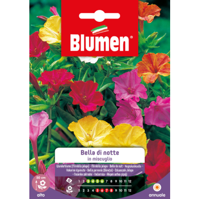 BLUMEN - Semi Fiore Bella Di Notte In Miscuglio