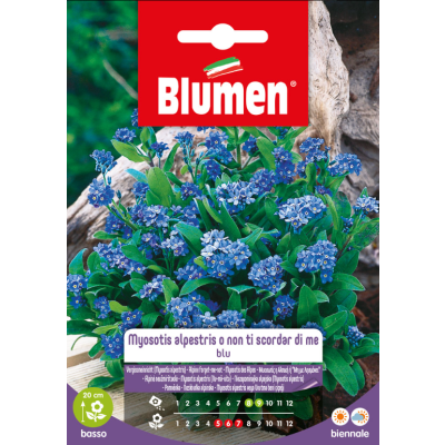 BLUMEN - Semi Fiore Myosotis Alpestris Blu