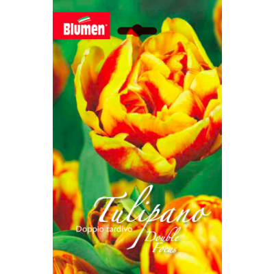 Blumen - Bulbi Tulipano Double Focus Cod. 13313