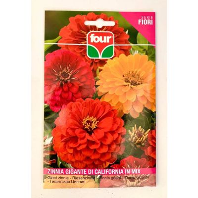FOUR - seme da fiore - zinnia gigante di california 