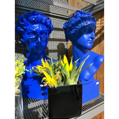 PALAIS ROYAL - Busto David e Venere Blu Cod. 37173