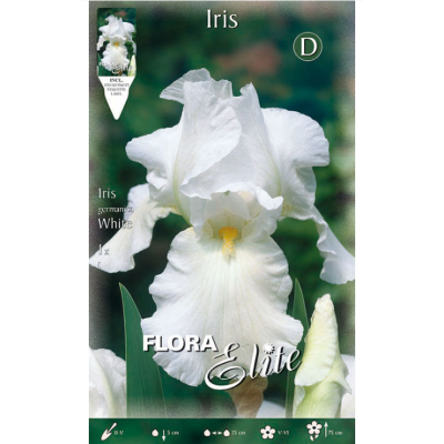 Bulbi Iris Germanica Bianco 1pz Cod.15781